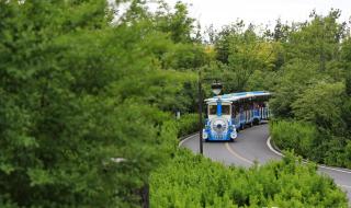 山东航空特价机票 山东航空特价机票